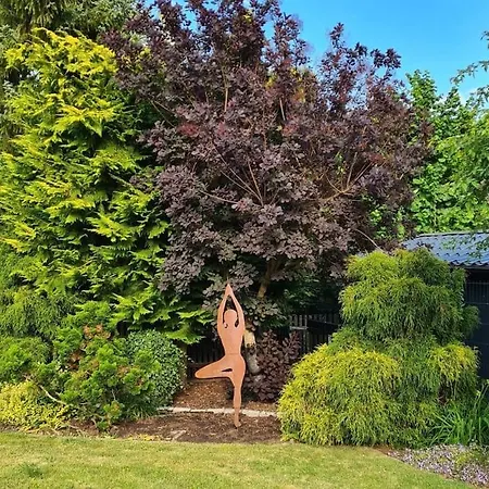 Distelfink Urlaub In Der Mitte Von Deutschland Gudensberg