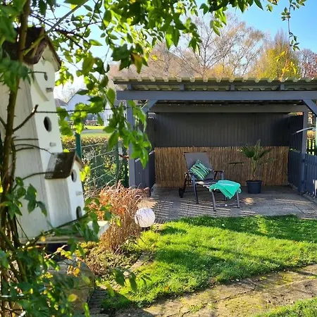 Distelfink Urlaub In Der Mitte Von Deutschland Gudensberg