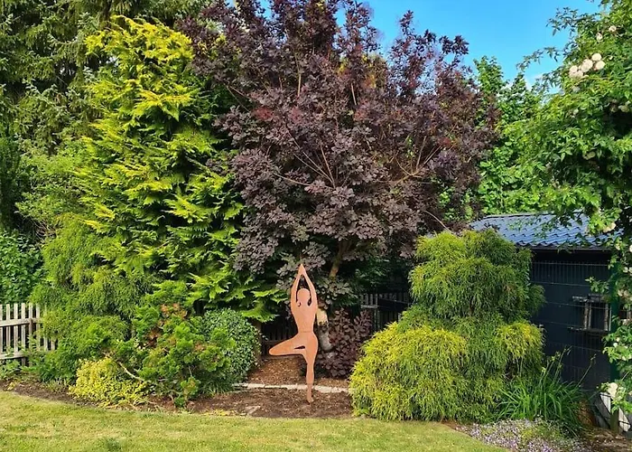 Distelfink Urlaub In Der Mitte Von Deutschland Documenta 16 Gudensberg