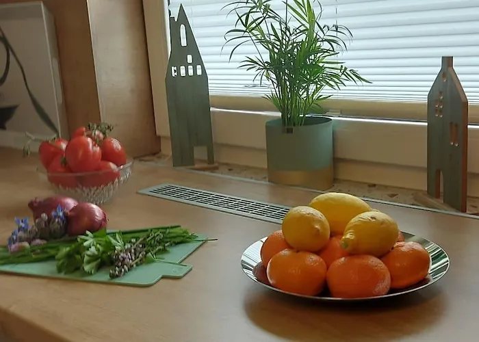 Distelfink Urlaub In Der Mitte Von Deutschland Documenta 16 Holiday home *